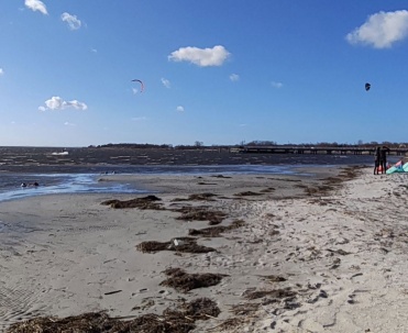 Szeroki kadr plaży z widokiem na zatokę i wyrzucone przy brzegu glony, pokazujący naturalny charakter miejsca.