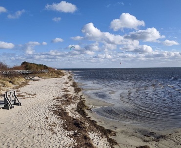 Piaszczysty brzeg zatoki z wydmami i plażowymi ogrodzeniami, pokazujący spokojny, otwarty krajobraz.