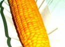 gorąca kolba kukurydzy