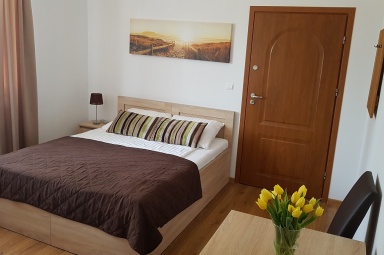 Pok&oacute;j 2-os na parterze z niezależnym wejściem i tarasem